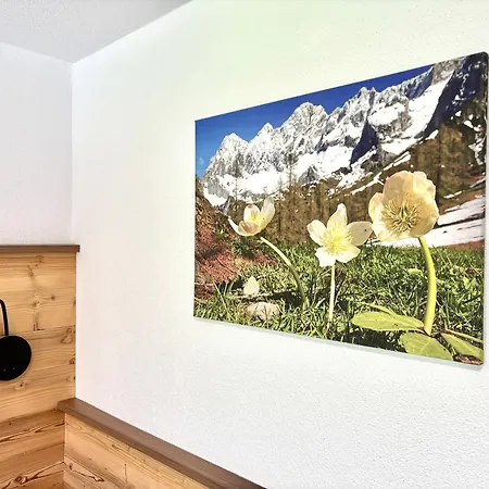 Haus Sonnleitner Dachstein Апартаменты