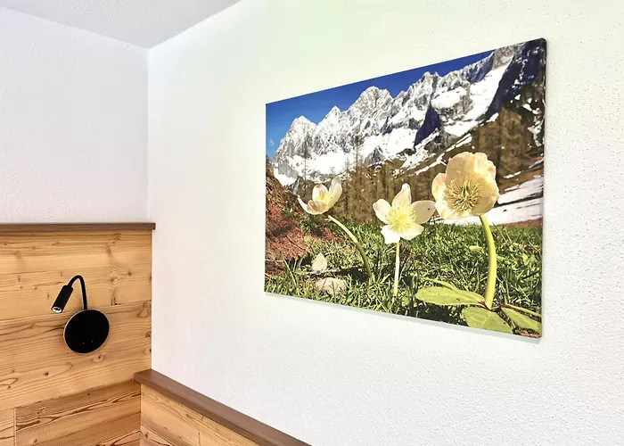 Haus Sonnleitner Dachstein Apartment