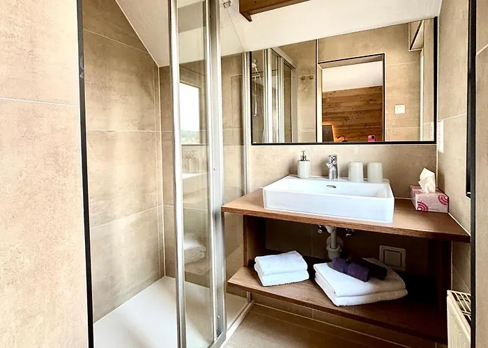 Haus Sonnleitner Dachstein Apartment *